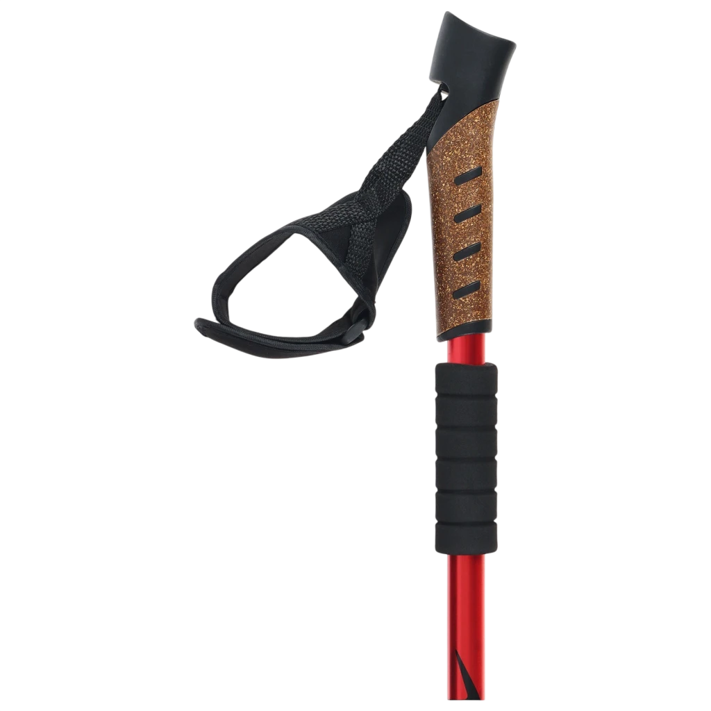 Трекинговые палки