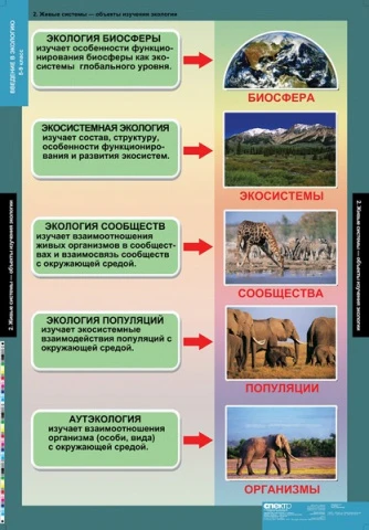 Учебный альбом из 18 листов <Биология. Введение в Экологию>