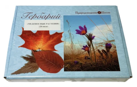 Гербарий «Медоносные растения»