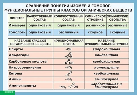 Таблица (винил) <Сравнение понятий изомер и гомолог. Функциональные группы классов органических веществ>