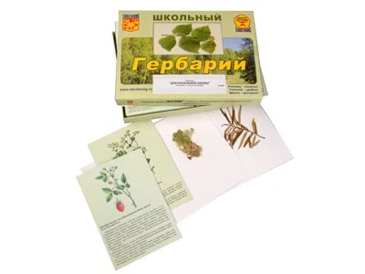 Гербарий (30 видов, с иллюстрациями) «Для начальной школы»