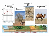 Модель-аппликация природных зон Земли