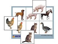Лото <Домашние животные (4 планшета, 24 карт., цвет., ламинир.)>
