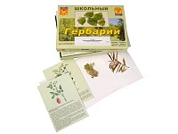 Гербарий (30 видов, с иллюстрациями) «Для начальной школы»